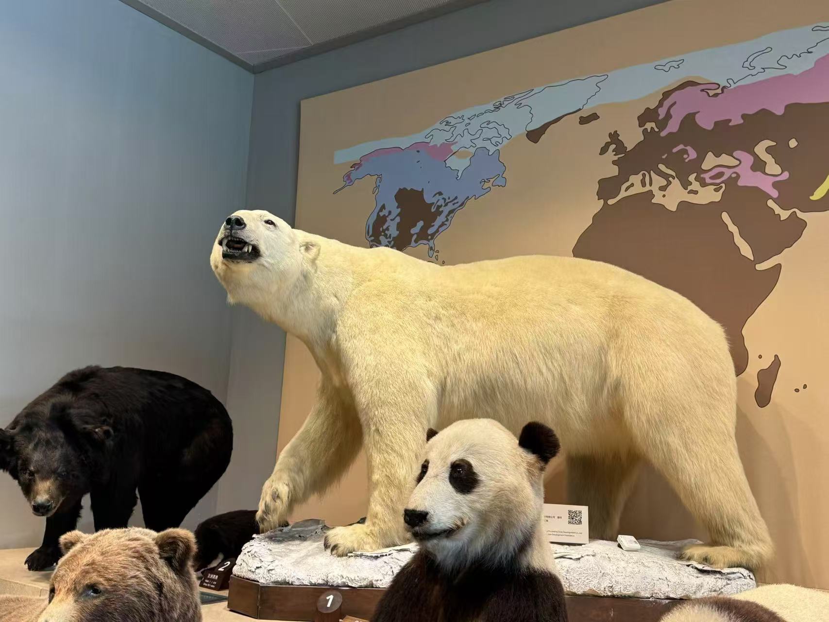 图7.jpg